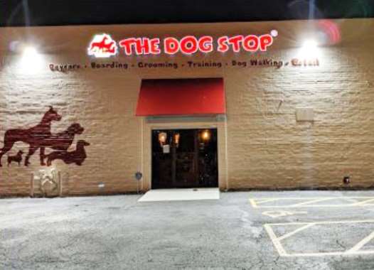 The Dog Stop Image
